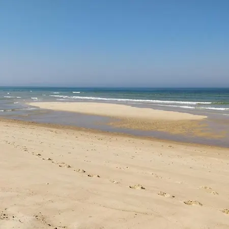 Casa vacanze Charme Et Serenite Entre Foret Et Plage - Logement Avec Terrasse Et Aire De Jeu Lesperon (Landes)