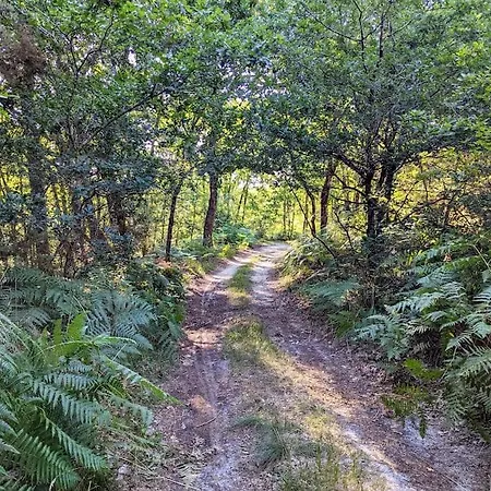 Charme Et Serenite Entre Foret Et Plage - Logement Avec Terrasse Et Aire De Jeu Lesperon (Landes)